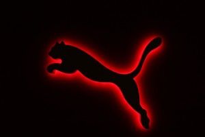 large Puma Logo Wallpaper 1920x1200 HD for mobile