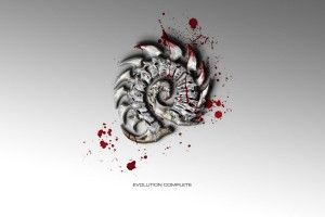 Zerg Wallpapers 1920x1080 screen