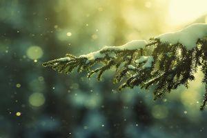 vertical christmas wallpaper tumblr 2560x1600