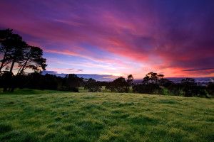 Nature Backgrounds HD 1920x1080 for iPad Pro