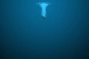 top Deep Sea Wallpapers 2560x1440 HD for mobile