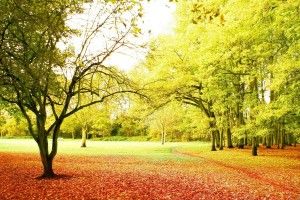 cool Beautiful Nature Background 2560x1600 for iPad Pro