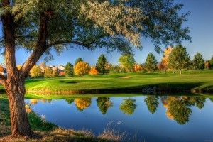 Natural HD Wallpapers 1920x1200 ipad retina