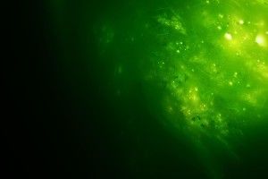 full size Slime Wallpapers 2560x1600