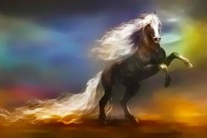 top Fantasy Horse Wallpaper 1920x1200 tablet