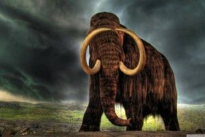 Mammoth Wallpapers 2560x1440 for iPad