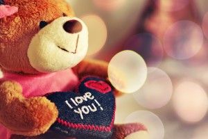 Teddy Bear Wallpapers 2560x1600 laptop