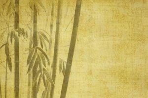 vertical bamboo background 1920x1080 image
