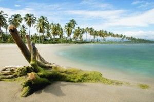 Nature HD Wallpapers 1080p 1920x1080 for mac