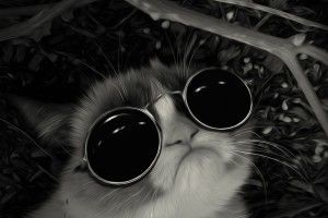 new HD Wallpapers 1680x1050 2400x1350