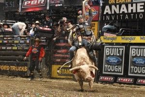 download free Bull Riding Wallpapers 2400x1600 for tablet