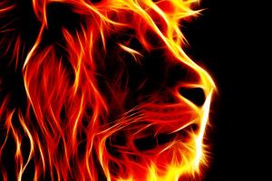 Fire Lion Wallpapers 2560x1600 samsung galaxy