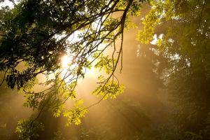 beautiful 1366x768 wallpapers 2560x1600