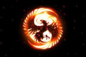 Fenix Wallpaper 1920x1200 for android