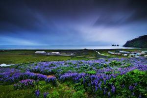 free beautiful nature wallpaper 1920x1200 for iphone 5