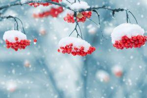 winter background images 2880x1800 windows 7