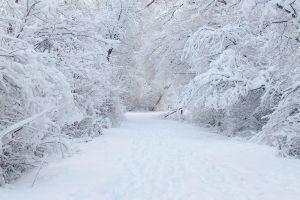new winter wonderland background 1920x1080 for iphone 6