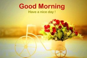 Good Morning Wallpapers 2389x1424 for desktop