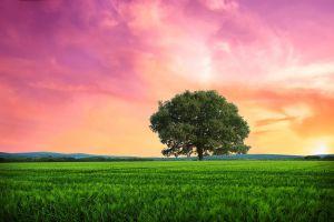 full size sunrise wallpaper 1920x1200 for mac