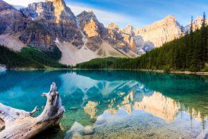 amazing hd wallpaper nature 1920x1080