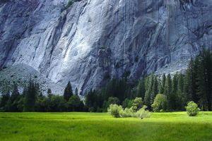wallpaper nature 1920x1200 for Full HD
