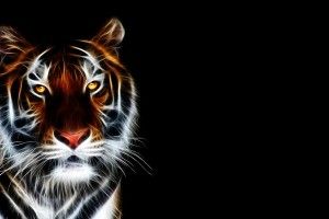 popular Wallpaper 3D Animation 3840x2160 for phone