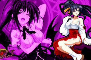 cool Akeno Himejima Wallpapers 1920x1080 for phones