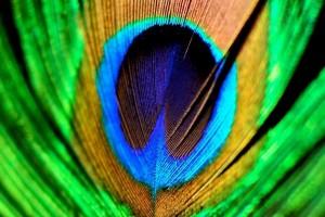 download wallpaper for mobile 1152x2048