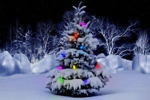 beautiful Beautiful Christmas Backgrounds 1920x1200 windows