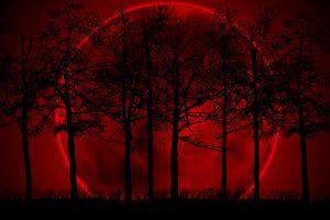 popular bloody wallpaper 2560x1600