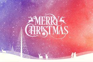 gorgerous christmas hd wallpaper 2560x1600 download