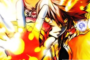 best Reborn Tsuna Wallpaper HD 2560x1600 notebook
