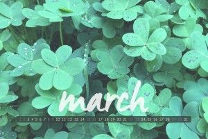 March Desktop Background 2880x1800 image