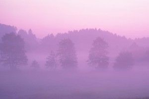 full size Pink Mac Wallpaper 1920x1200 for lockscreen