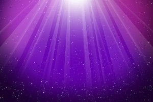 free download Pretty Purple Wallpaper 2560x1600