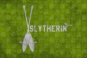 beautiful slytherin wallpaper 2560x1440 for mobile