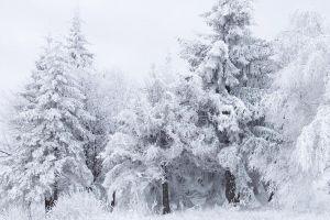 january background 1920x1080 retina
