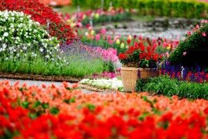Flower Gardens Wallpapers 2880x1800 windows