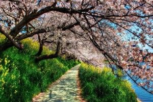 new Spring Wallpaper 1920x1080 1920x1080 retina