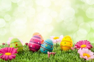 Easter Egg Backgrounds 2880x1800 Phone