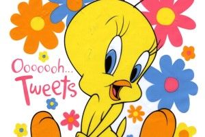Tweety Cartoon Wallpaper 1388x1969 free download