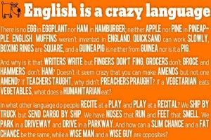 download free Language Wallpapers 1920x1200 windows 10