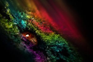 full size Color HD Wallpaper 1920x1080 windows 7
