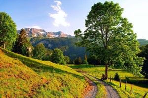 download free Summer Nature Wallpaper 1920x1350 large resolution