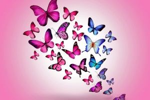 Pink Butterfly Backgrounds 3840x2160 for android