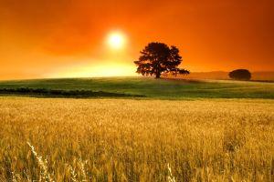free nice background 1920x1080 iPad