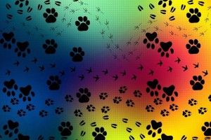 beautiful Paw Prints Wallpaper 1920x1080 for android tablet