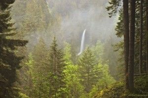 download Pacific Northwest Wallpaper 1920x1080