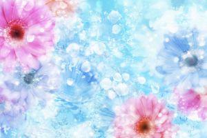 spring backgrounds 1920x1200 notebook