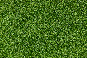 beautiful grass background 1920x1200